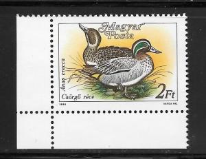 Hungary  #3136 MNH Crecca Ducks Single