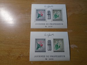 Afghanistan  #  545-46   MNH   SS       Perf & Imperf