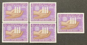 Afghanistan 1963 #c45, Wholesale lot of 5, MNH, CV $5.50