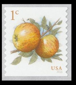 US 5037 Apples 1c single (1 stamp) MNH 2016 