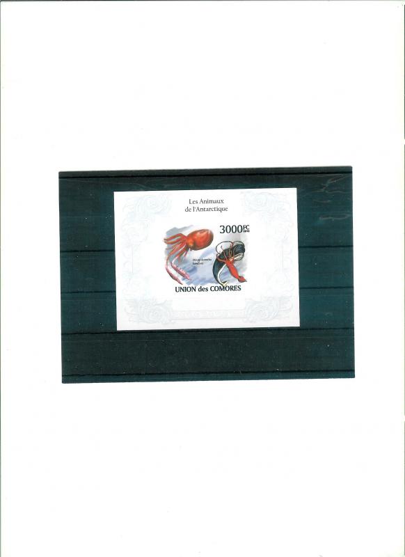 COMORES - MARINE LIFE - M/S - IMPERF. - MNH