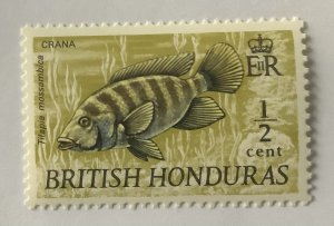 British Honduras 1969-72 Scott  235 MNH - ½c, Fish, Crana