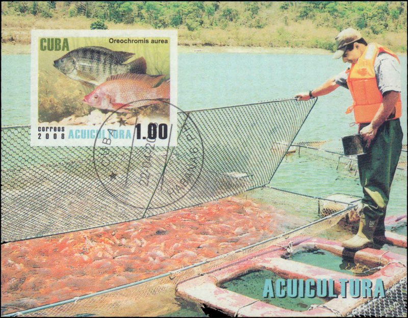 Cuba #4817A-4821, Complete Set(7), 2008, Marine Life, Fish, Used, CTO