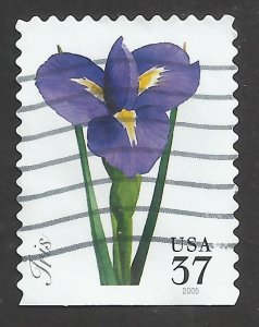 # 3903 USED IRIS