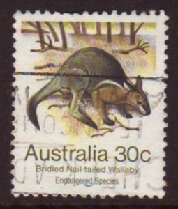 Australia 1981 Sc#791, SG#792 30c Wallaby USED.
