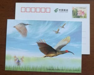 Japanese Crested Ibis bird,China 2012 shanghai post advertising pre-stamped card