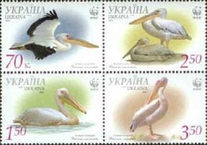 Ukraine 2007 WWF Pelicans rare birds set of 4 stamps in block 2x2 MNH