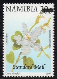 Namibia - 2005 Surcharges Std Mail on 20c Type II MNH** SG 992