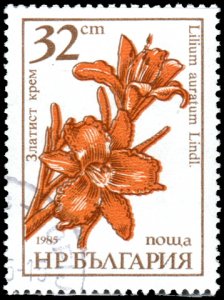 Bulgaria 3186 - Cto - 32s Golden-rayed Lily (1986) (2)