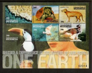 Micronesia 2001 - Animals Birds - Sheet of 6 Stamps - Scott #420 - MNH