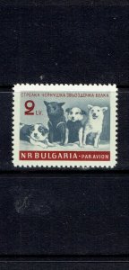 BULGARIA - 1961 SOVIET SPACE DOGS - SCOTT C82 - MNH