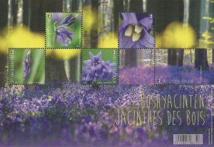 Belgium 2017 Spring forest flowers English bluebell Hyacinths block MNH