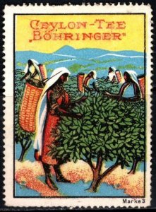 Vintage Germany Poster Stamp Böhringer Ceylon Tea Unused No Gum