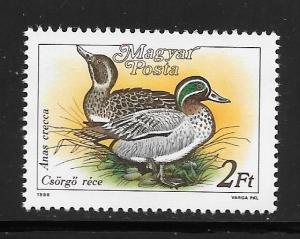 Hungary  #3136 MNH Crecca Ducks Single