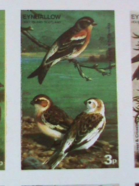 EYNHALLOW SCOTLAND STAMP -RARE BIRDS -IMPERF- MNH - MINI SHEET  NO GUM AS ISSUED