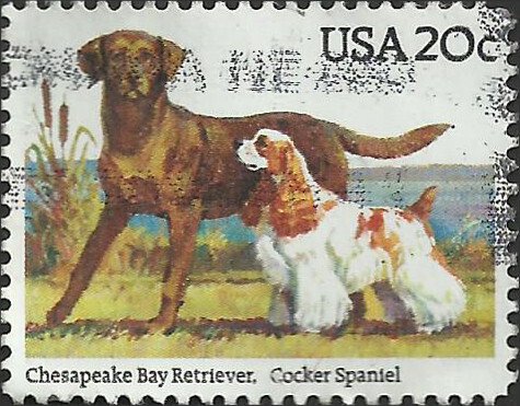 # 2099 USED RETRIEVER AND COCKER SPANIEL