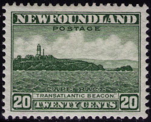 Newfoundland # 196  Mint VF VLH perf 13.5  Cat $ 6