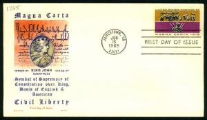 #1265 Magna Carta - Jackson Cachet