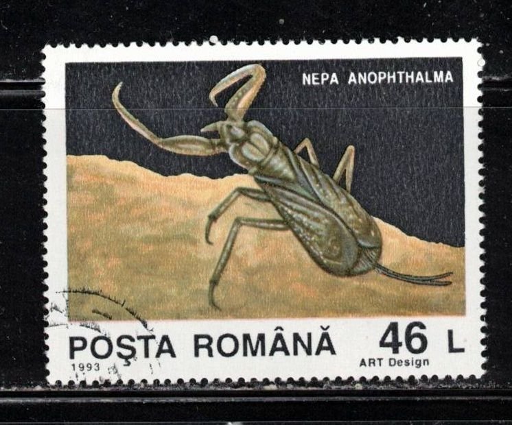 ROMANIA Scott # 3876 Used - Insect