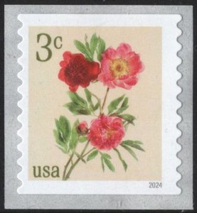 NEW ISSUE: 3¢ Peonies Coil Single (2024) SA