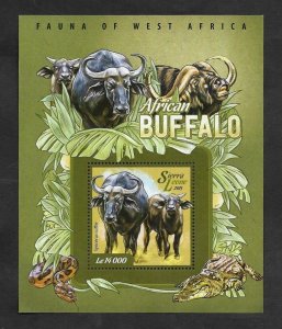 SD)2015 SIERRA LEONE  FAUNA, AFRICAN BUFFALO, COFFEE OR BLACK BUFFALO, SOUV