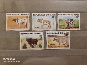 1981	Mali	cows (F6)