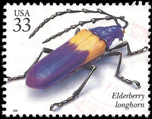 #3351b 33c Insects & Spiders Elderberry Longhorn 1999 Used