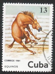 CUBA Sc# 2436 HORSES HORSES HORSES  13c  1981 used cto