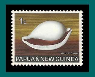 Papua New Guinea 1969 Common Egg Cowrie, MNH  265,SG137