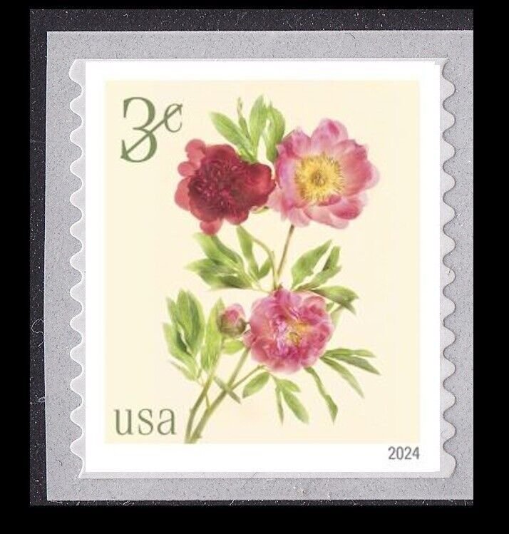 US Flowers Peonies 3c coil single MNH 2024 after 7/31