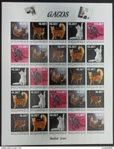 Imperf 2014 Mozambique Cats Domestic Animals #7615-19 ! Unique Big Sh ** Qw90