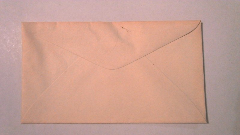 US ERROR POSTAL ENV ALBINO