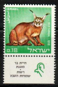 Caracal Lynx, Israel stamp SC#359 MNH, with tab