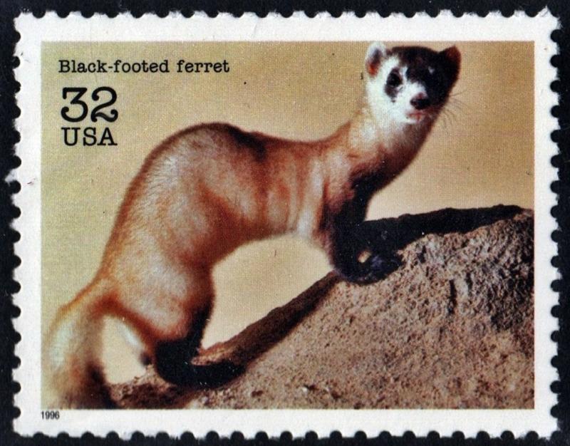 SC#3105a 32¢ Endangered Species: Black-footed Ferret Single (1996) MNH