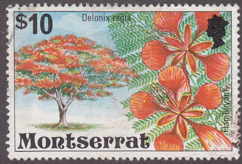 Montserrat 354 Flamboyant Tree 1976