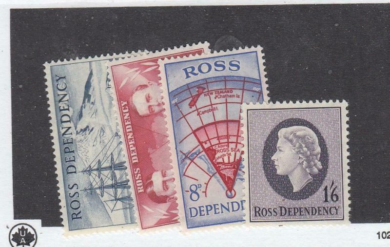 ROSS DEPENDENCY # L1-L4 VF-MNH