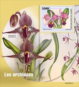 Niger - 2022 Cattleya Hardyana Orchid - Stamp Souvenir Sheet - NIG220301b1