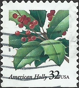 # 3177 USED HOLLY