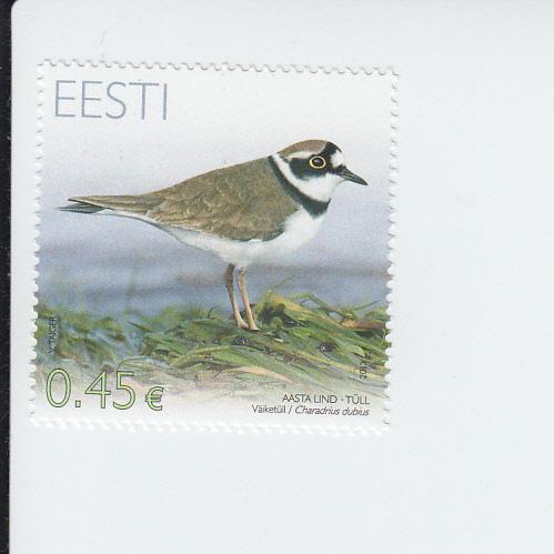 2012 Estonia Plover Birds of the Year (Scott 701) MNH