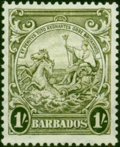 Barbados 1938 1s Olive-Green SG255 Good MM