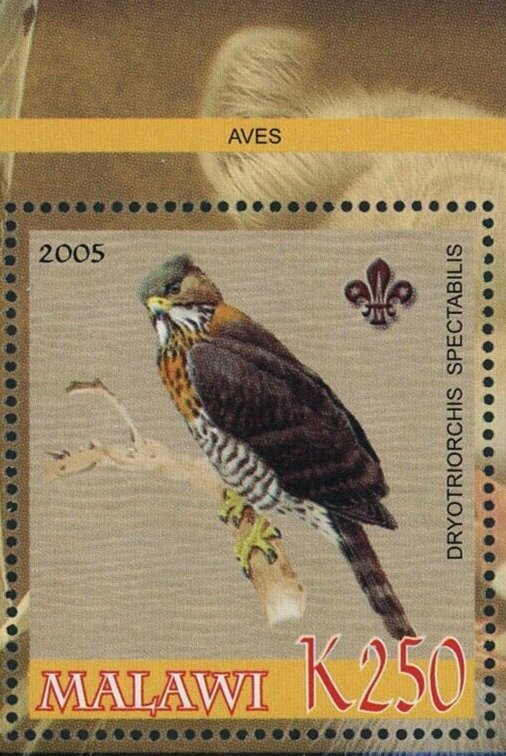 Malawi Birds of Africa Driotriorchis Spectabilis Moon Panther Souvenir Sheet MNH