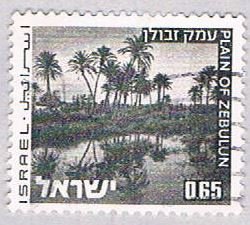 Israel Oasis 65 (AP100828)