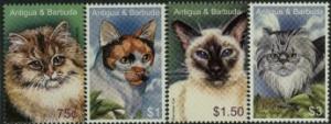 ANTIQUA:2005 CATS (4)