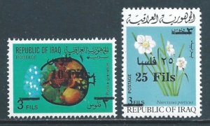 Iraq #725-6 NH Pomegranates/Flowers Ovptd.