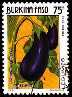 Burkina Faso SG#1087 Used - 1994 75f.  - Vegetables