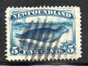 Newfoundland Sc  55 1894 5c bright blue seal stamp used