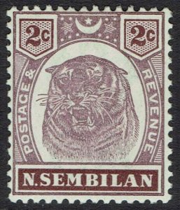 NEGRI SEMBILAN 1895 TIGER 2C