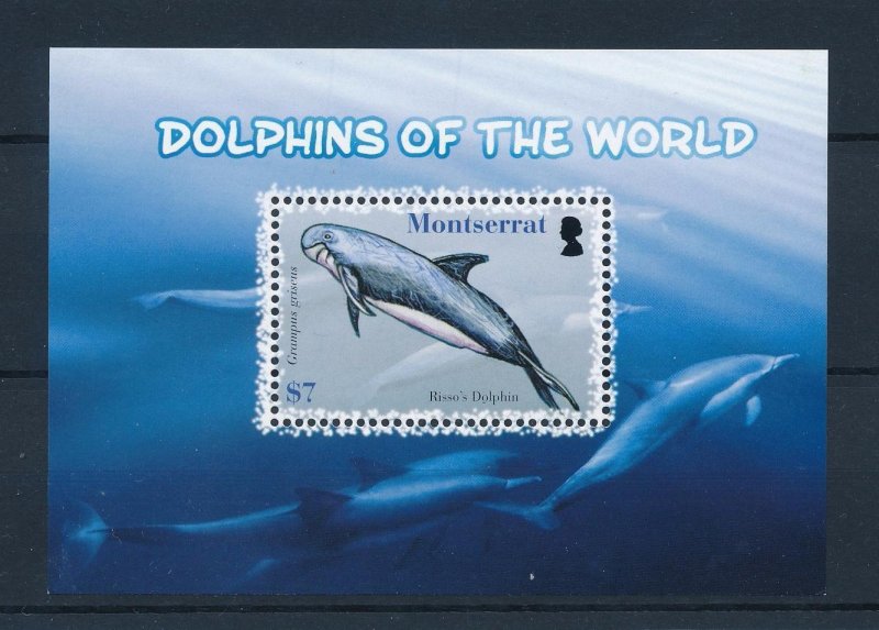 [40593] Montserrat 2008 Marine life dolphins Souvenir Sheet MNH