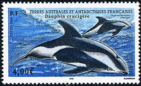 FSAT Scott #369 Dolphins MNH