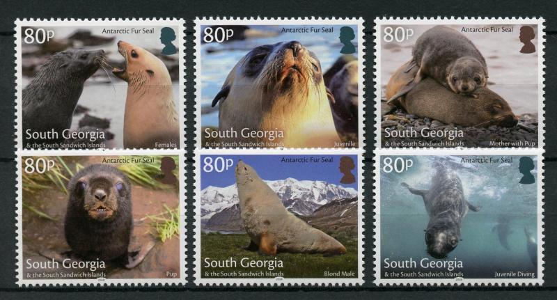 South Georgia & Sandwich Isl 2018 MNH Antarctic Fur Seals 6v Set Animals Stamps